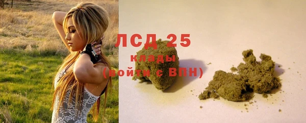хмурый Дедовск