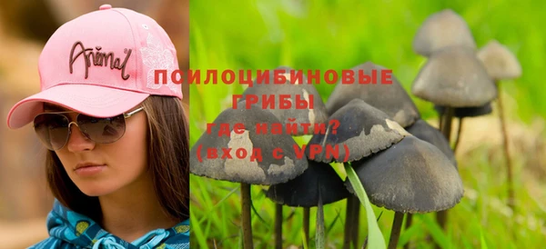 винт Дегтярск