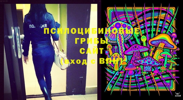 бошки Абинск