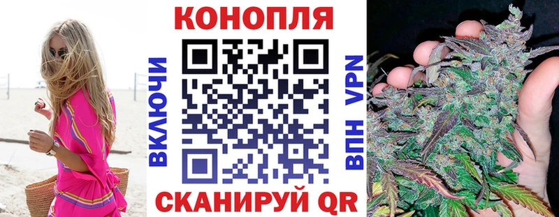 Канабис гибрид  Петров Вал 